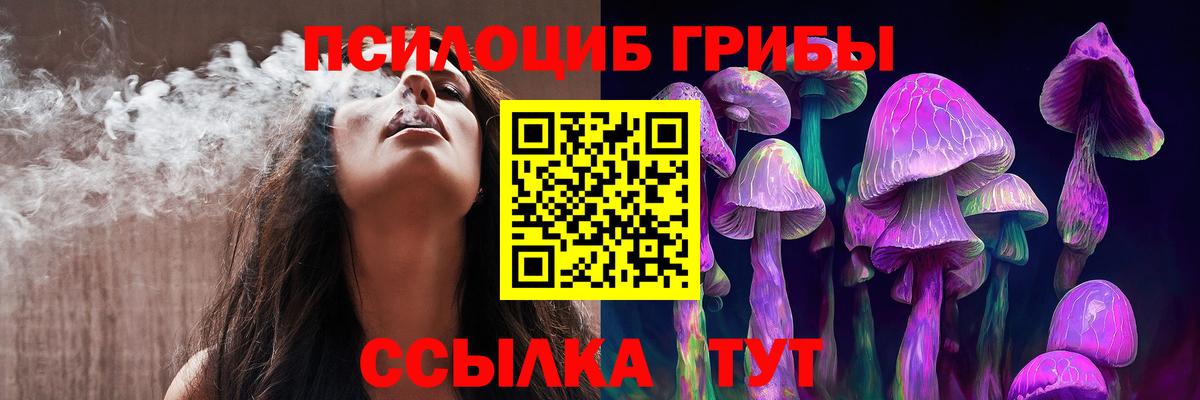 Псилоцибиновые грибы мухоморы Алейск